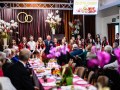 DSC_9181-990S