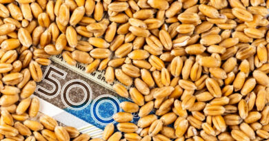 Dopłaty do zbóż dla rolników