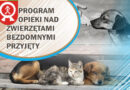 Program opieki nad zwierzętami bezdomnymi wszedł w życie!