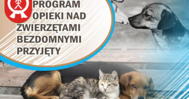 Program opieki nad zwierzętami bezdomnymi wszedł w życie!