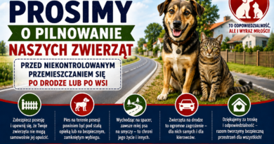 Prosimy o pilnowanie naszych zwierząt przed niekontrolowanym przemieszczaniem się po drodze lub po wsi