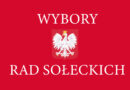 Wybory uzupełniających do rady sołeckiej sołectwa Suliszów