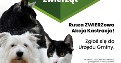 Bezpłatna kastracja