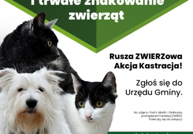 Bezpłatna kastracja