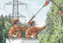 Bezpieczne wycinki – ze zgodą właścicieli nieruchomości