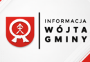 Raport z konsultacji społecznych projektu Gminnego Programu Rewitalizacji Gminy Łoniów do 2030 r.