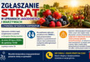 Zgłaszanie strat w uprawach jagodowych i warzywach z powodu wysokich temperatur
