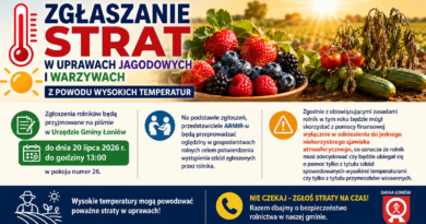 Zgłaszanie strat w uprawach jagodowych i warzywach z powodu wysokich temperatur