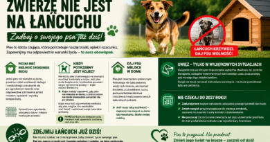 Zmiany w ustawie o ochronie zwierząt – właścicielu psa/kota przygotuj się na nie już od dziś