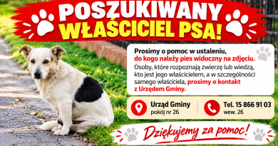 Poszukiwany właściciel psa!