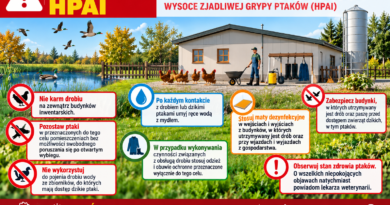 WAŻNY KOMUNIKAT DLA HODOWCÓW DROBIU – RYZYKO WYSTĄPIENIA GRYPY PTAKÓW (HPAI)